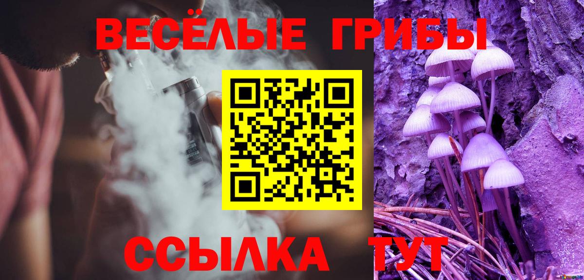 Губкин  Псилоцибиновые грибы Psilocybine cubensis  Вход с VPN 
